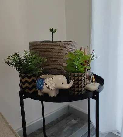 Apartment Zinas Modern Flat Nicosia *